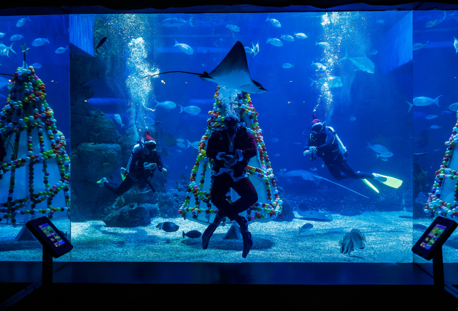 jakarta aquarium 6 Aktivitas Seru di Jakarta Aquarium & Safari, Cek Tiket Masuknya Sekarang!